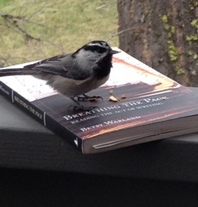 Bird on Breathing The Page