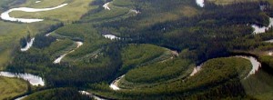 Grass River, near Fort Yukon, Alaska