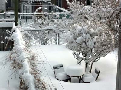 Spring snow in Montreal