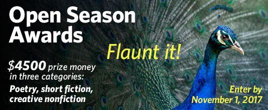 Betsy Warland Named as Judge for Open Season Awards